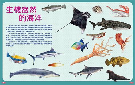 魚有哪些|《世界上有哪些魚？ 》 太平洋的魚類與海洋生物